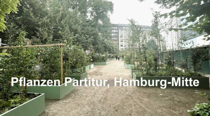 Pflanzen Partitur, Hamburg-Mitte