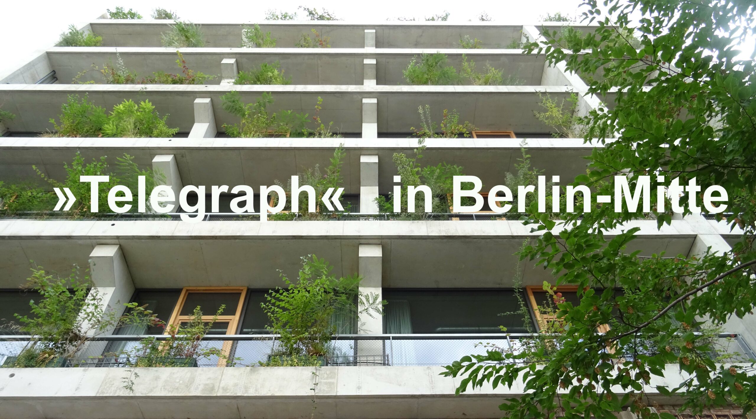 „TELEGRAPH“ Berlin-Mitte